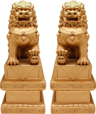 [ LION SET,  GOLD, 15