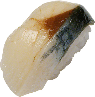 [ DISPLAY SUSHI SABA, MACKERAL - ]