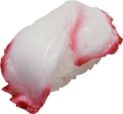 [ DISPLAY SUSHI TAKO, OCTOPUS -  ]