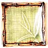 [ PLATE, SQ. (GREEN BAMBOO), 4.5" ]