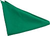 [ SCARF (PLAIN GREEN) ]