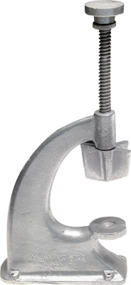 [ RADISH ROSETTE, 11.5