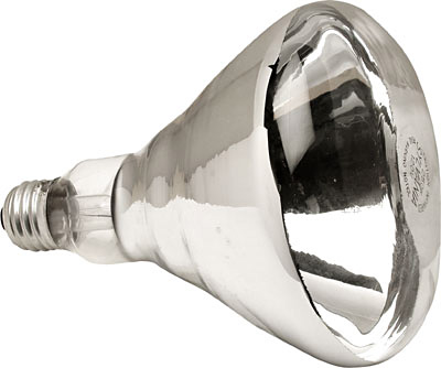 [ HEAT LAMP INFRARED BULB ONLY - ]