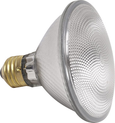 [ HEAT LAMP HALOGEN BULB ONLY -  ]