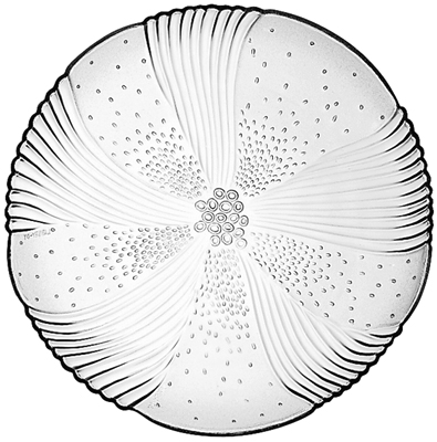 [ 15512 PLATE, HARMONY, DURATUFF ]