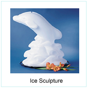 Ice Sculpture