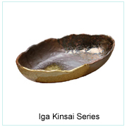 Iga Kinsai Series