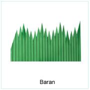 Baran