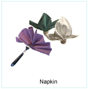 Napkin