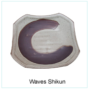 Waves Shikun